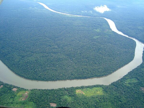 Вид с воздуха на тропические леса Амазонки, одно из семи Новых чудес света - Sputnik Молдова