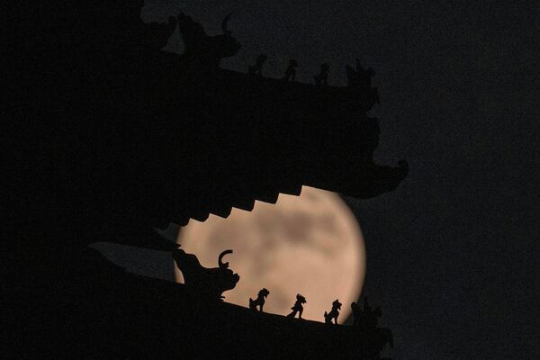 În imagine a fost surprinsă super luna sau Luna Căpșună în spatele turnului de colț al Orașului Interzis din China. - Sputnik Moldova