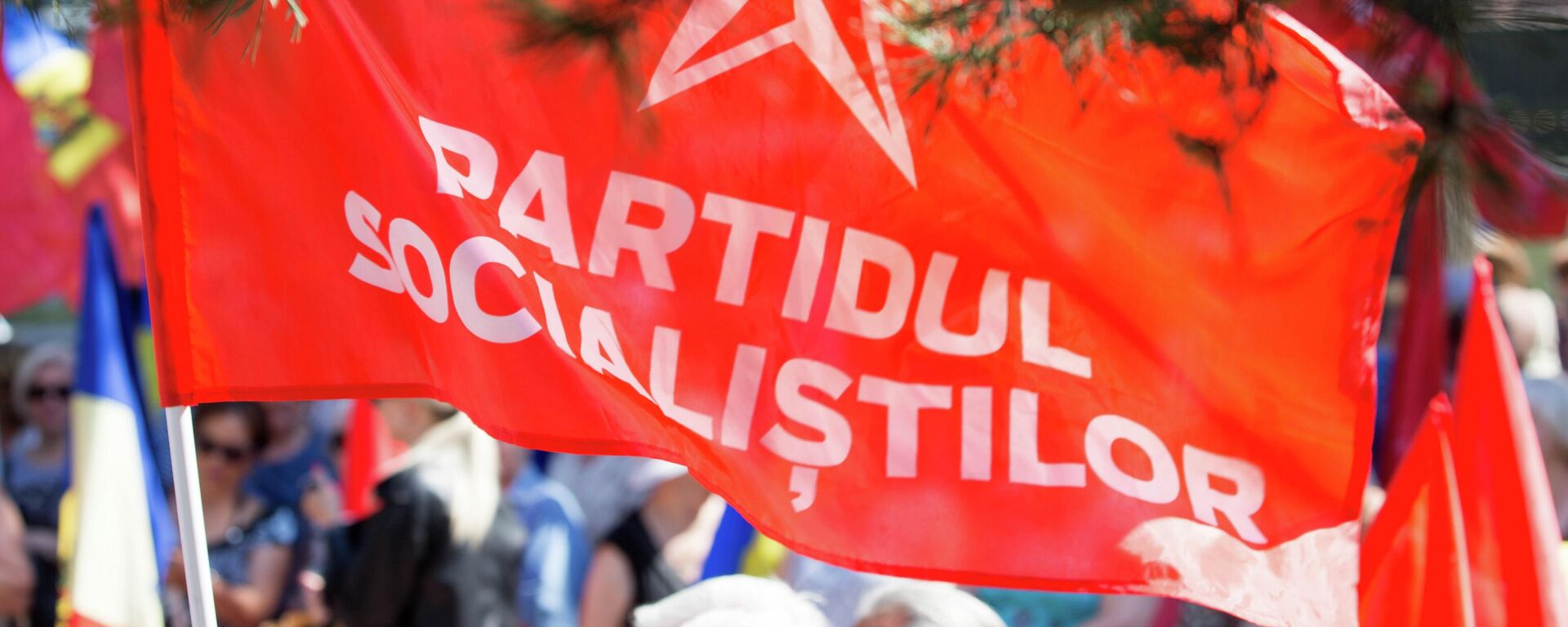 Simbolica Partidului Socialiștilor din Republica Moldova - Sputnik Молдова, 1920, 30.11.2022