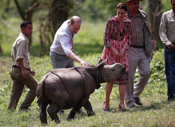 Prințul William al Marii Britanii (al doilea din stânga), Ducele de Cambridge și Catherine, Ducesa de Cambridge din Marea Britanie, se întâlnesc cu un vițel de rinocer la Centrul pentru Reabilitarea și Conservarea Faunei Sălbatice (CWRC) în pădurea rezervației Panbari din Kaziranga, în statul Assam din nord-est, pe 13 aprilie 2016. - Sputnik Moldova