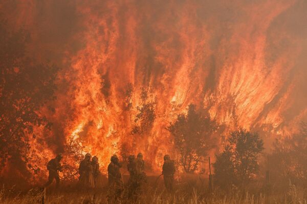 Спасатели работают на месте лесного пожара в Пумарехо-де-Тера, Испания. Испанские пожарные продолжают бороться с многочисленными пожарами, возникающими из-за сильной жары, которая обрушилась на страну и местами достигает 43 градусов. Один из пожаров опустошил почти 20 000 гектаров земли. - Sputnik Молдова