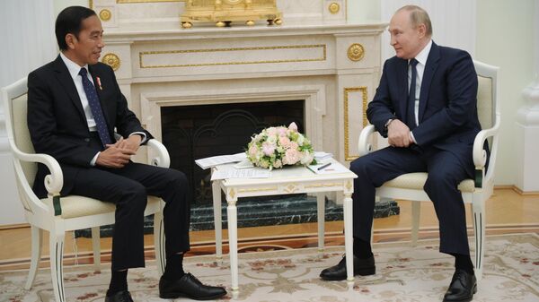 Президент РФ В. Путин провел встречу с президентом Индонезии Дж. Видодо - Sputnik Молдова