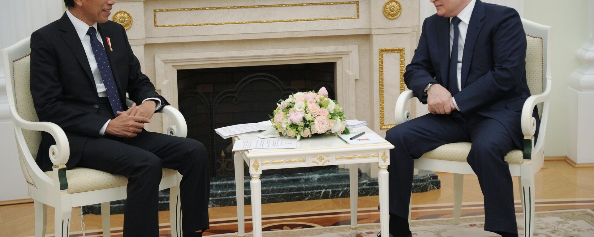 Президент РФ В. Путин провел встречу с президентом Индонезии Дж. Видодо - Sputnik Молдова, 1920, 30.06.2022