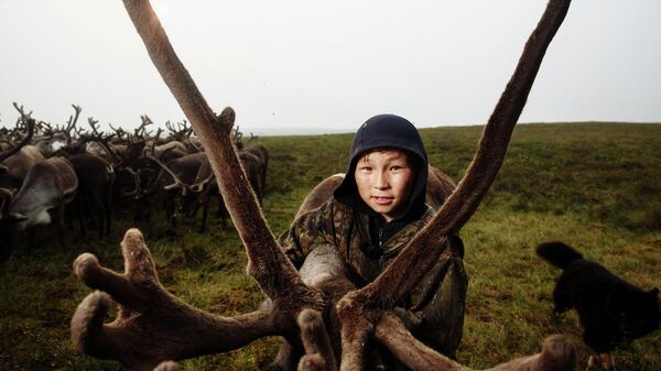 Дети Арктики - Sputnik Молдова