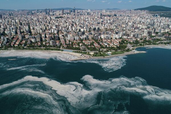 Мраморное море, покрытое морской слизью в Стамбуле, Турция, 6 июня 2021 года.  - Sputnik Молдова