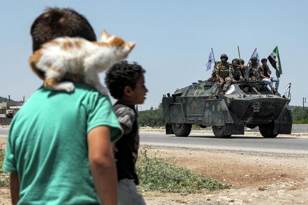 Мальчик с котенком на плече наблюдает, как поддерживаемые Турцией сирийские повстанцы направляются к линии фронта по дороге из Африна, Сирия. - Sputnik Молдова