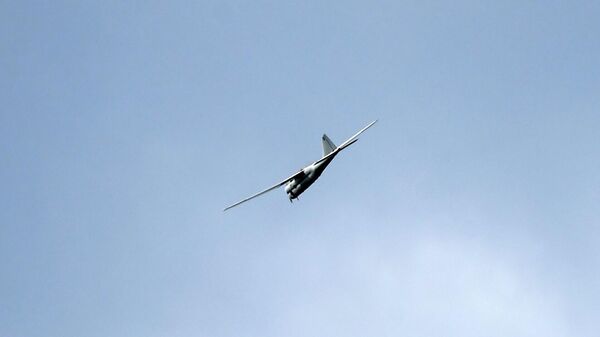 Dronă militară rusă - Sputnik Moldova