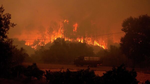 Лесной пожар в деревне Бемпоста, Португалия - Sputnik Молдова