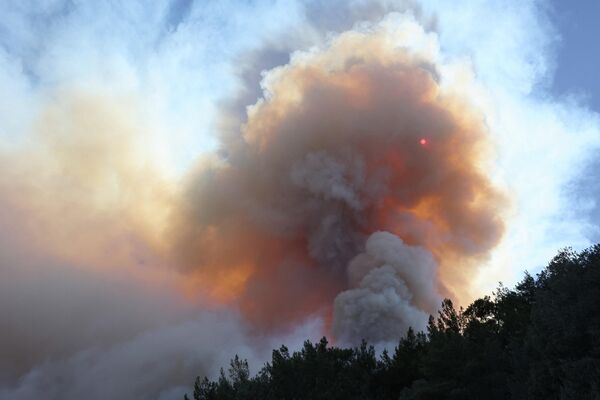 Fimul care se ridică de la un incendiu forestier izbucnit în districtul Datзa din Mugla, Turcia. - Sputnik Moldova-România