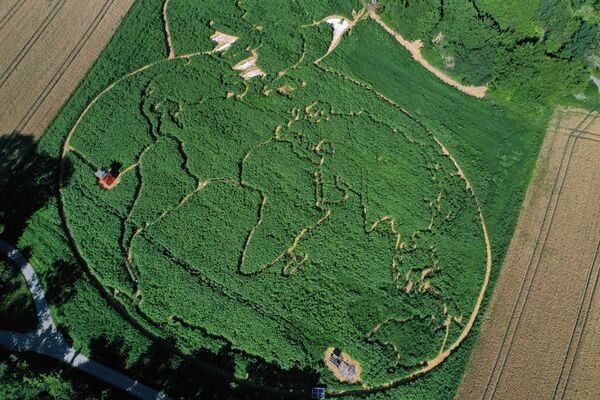 Вид с воздуха показывает часть спроектированного поля с изображением голубя мира Пабло Пикассо над картой мира, изображенного в Уттинг-ам-Аммерзее 11 июля 2022 года. Вся картина занимает площадь около 18 000 квадратных метров и состоит из 350 000 растений, включая подсолнухи, коноплю, бобы и кукурузу.  - Sputnik Молдова
