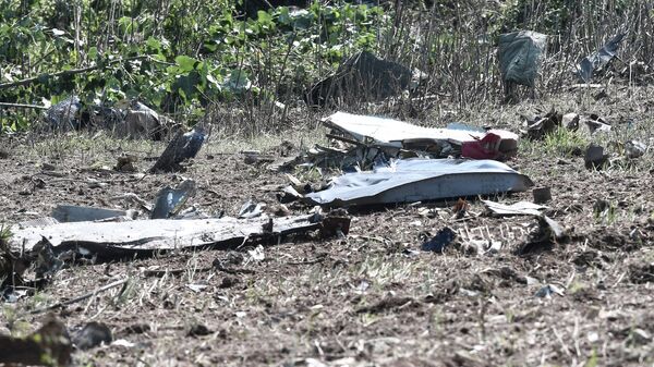 Обломки самолета Ан-12 на месте крушения в Греции - Sputnik Молдова