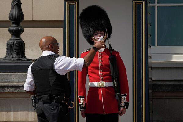 Полицейский поит дежурного у Букингемского дворца в жаркую погоду в Лондоне. - Sputnik Молдова