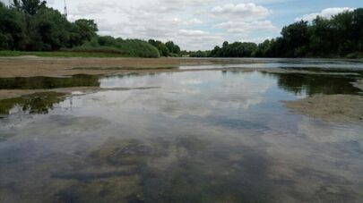 Днестр обмелел от засухи