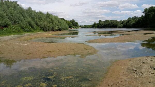 Nivelul apei din râul Nistru a scăzut la un minim istoric - Sputnik Moldova