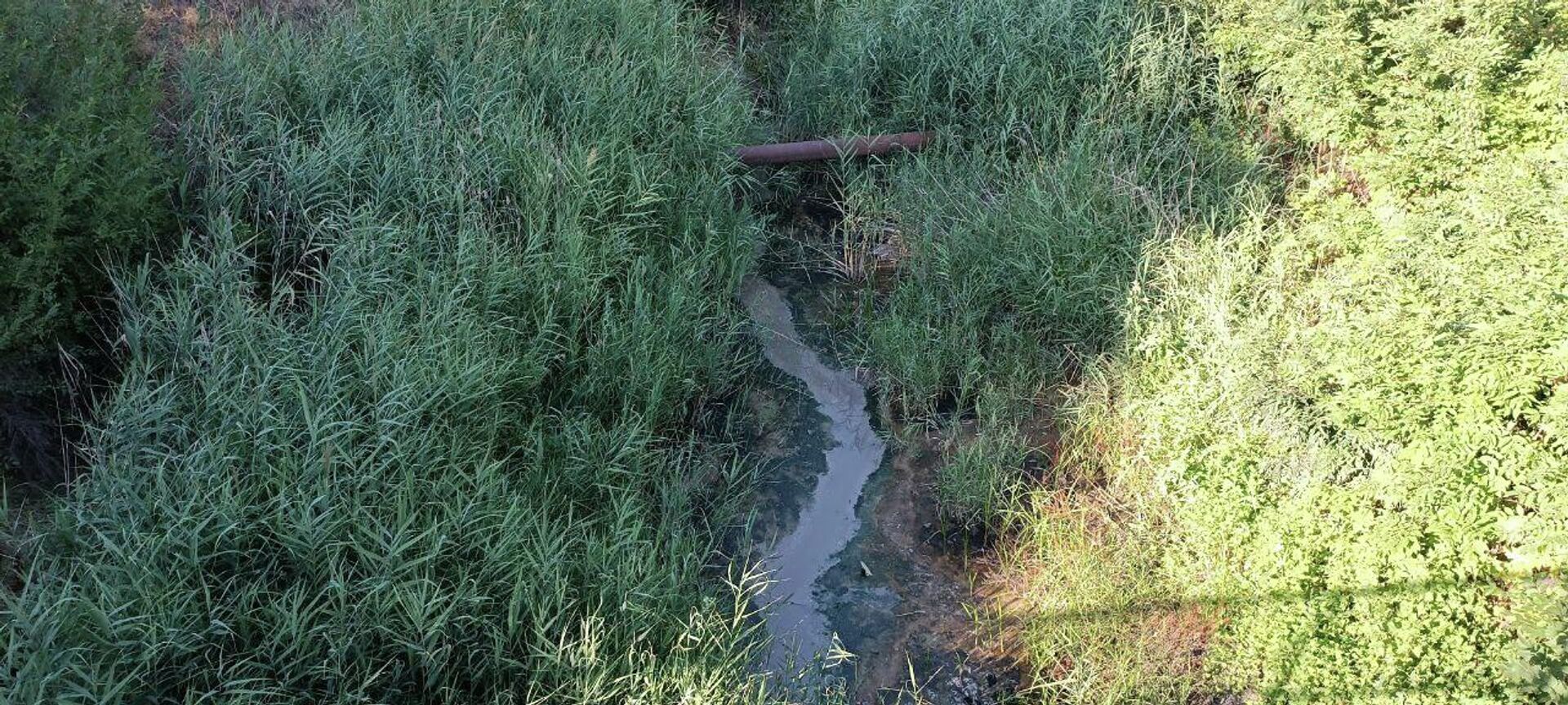 Река Лунга в черте муниципия Чадыр-Лунга - Sputnik Молдова, 1920, 25.07.2022