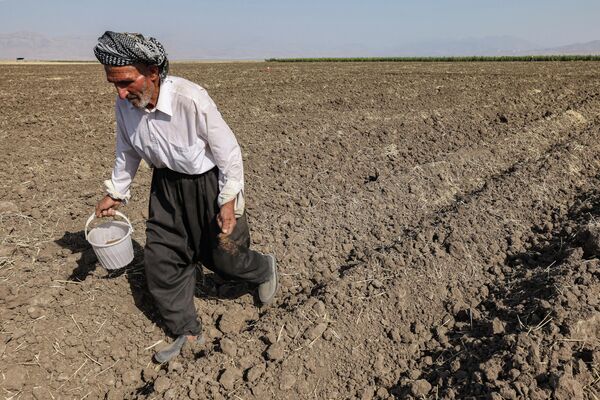 Курдский фермер сеет семена в поле на ферме в районе Рания. - Sputnik Молдова