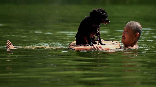 Мужчина со своей собакой в реке, Китай  - Sputnik Молдова