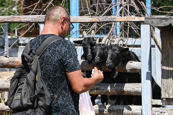 Посетитель у вольера с козлами в Мариупольском зоопарке - Sputnik Молдова