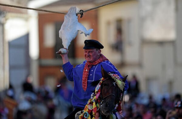 Всадник пытается оторвать голову мертвого гуся во время фестиваля Святого Иакова в деревне Эль-Карпио-де-Тахо, Толедо, Испания. - Sputnik Молдова