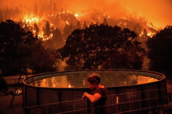 Лесной пожар в Национальном лесу Кламат, Калифорния. - Sputnik Молдова
