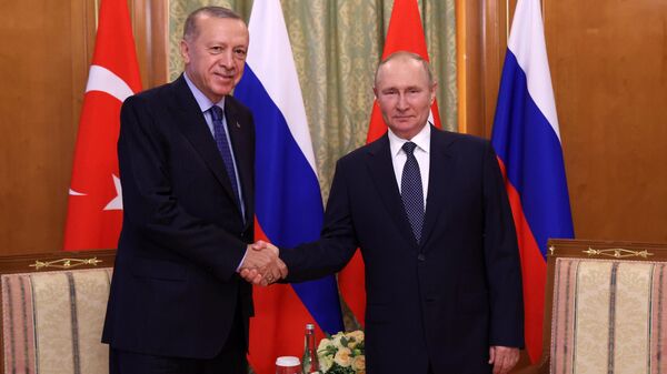 Vladimir Putin și omologul său turc, Recep Tayyip Erdogan - Sputnik Moldova-România