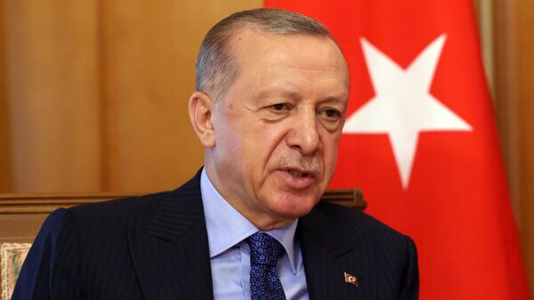președintele turc Tayyip Erdogan  - Sputnik Moldova