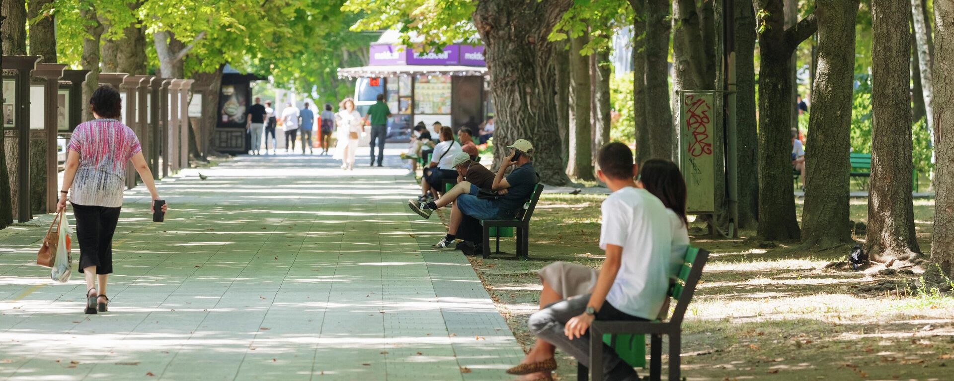 Из Молдовы в другие страны уезжает в основном трудоспособное население - эксперт - Sputnik Молдова, 1920, 05.05.2024