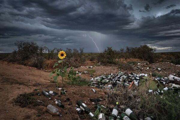 Снимок Nature Fights Back южноафриканского фотографа Bertus Hanekom, победивший в категории Landscapes конкурса Nature TTL Photographer of the Year 2022. - Sputnik Молдова