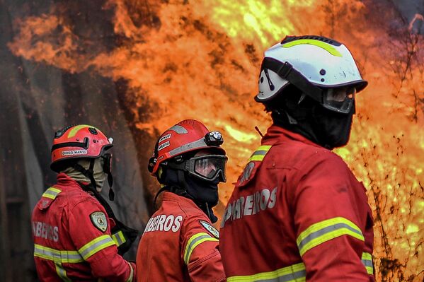 Pompierii încearcă să oprească un incendiu din satul Sameiro, lângă orașul Manteigas, pe 10 august 2022. - Un incendiu izbucnit sâmbătă a făcut ravagii în parcul natural Serra da Estrela din centrul Portugaliei. - Sputnik Moldova-România