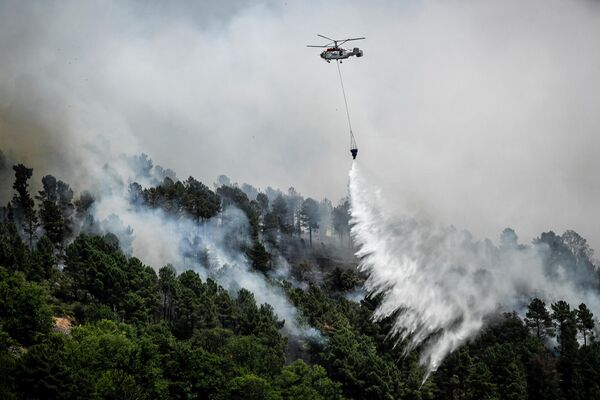 Elicopterul de stingere a incendiilor Kamov Ka-32 aruncă apă peste o pădure în timpul unui incendiu din orașul Manteigas, pe 10 august 2022. - Un incendiu care a izbucnit sâmbătă a făcut ravagii în parcul natural Serra da Estrela din centrul Portugaliei. - Sputnik Moldova-România