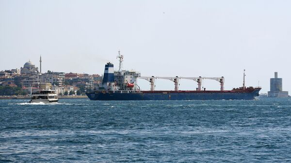 Nava de marfuri Razoni cu cereale ucrainene în Istanbul. - Sputnik Moldova