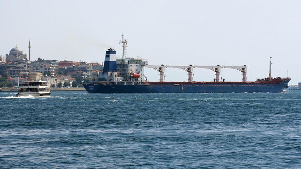 Tankerul Razoni cu cereale ucrainene în Istanbul - Sputnik Moldova