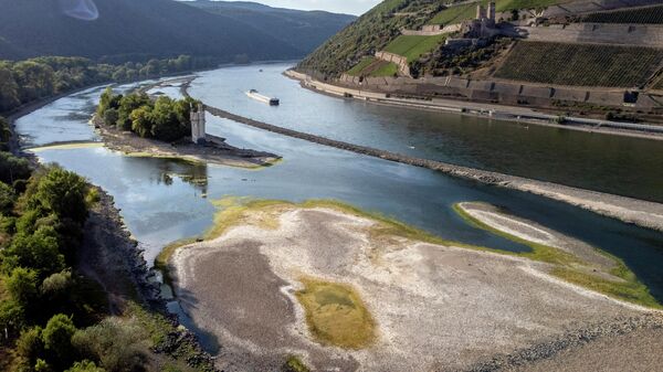 Râul Rin în timpul secetei  - Sputnik Moldova-România