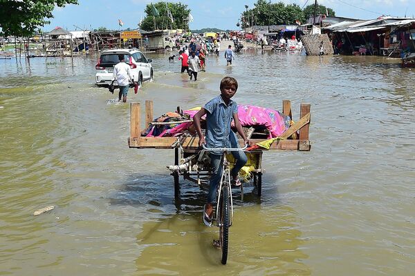 Индийский мальчик перевозит вещи в сухое место на берегу реки Ганг в Аллахабаде во время наводнения, вызванного муссонными дождями. - Sputnik Молдова
