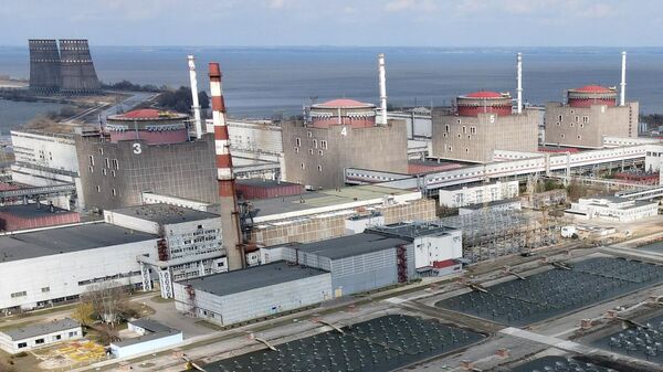 Новая смена украинских атомщиков приступила к работе на Запорожской АЭС - Sputnik Moldova