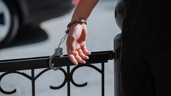 Владимир Плахотнюк хочет экстрадиции в Молдову - адвокат - Sputnik Молдова