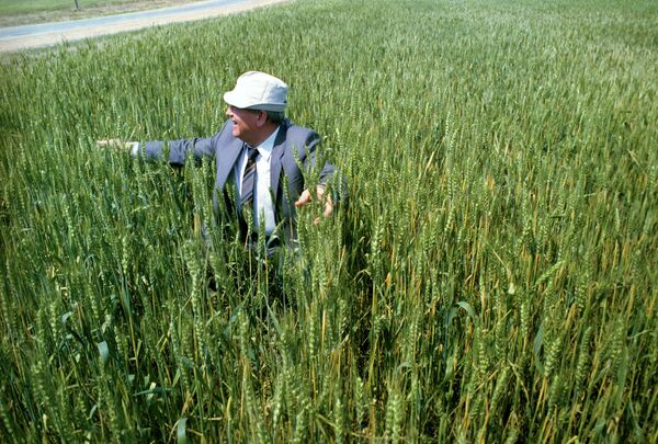 Președintele URSS, Mihail Sergheevici Gorbaciov, în ținuturile virgine ale Kazahstanului. Vizita de lucru a lui M. Gorbaciov în Kazahstan. - Sputnik Moldova