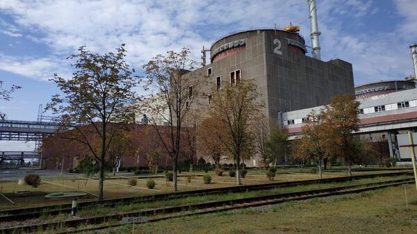 Своими глазами. Глава МАГАТЭ прибыл на АЭС под грохот снарядов - Sputnik Молдова