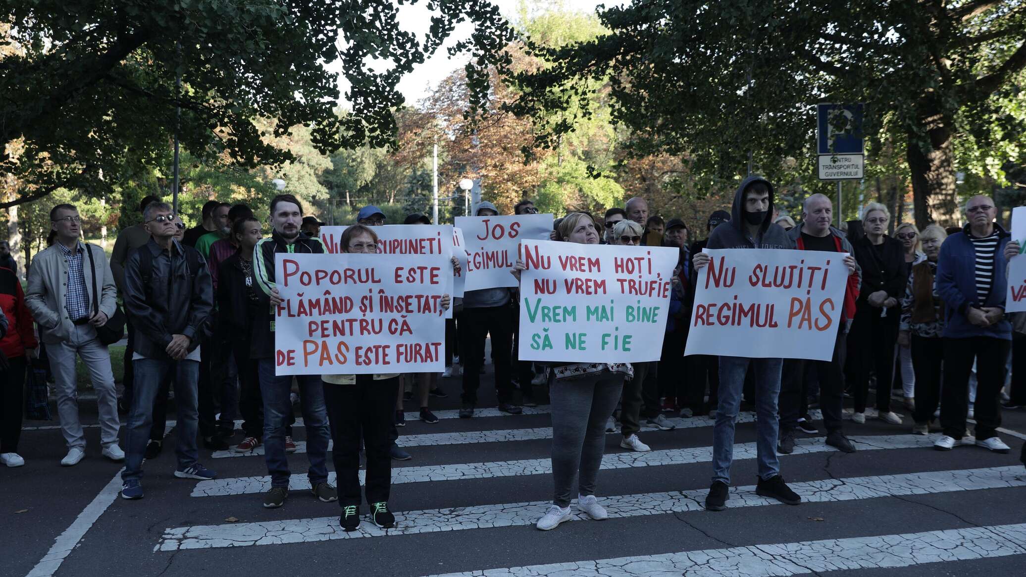 В Кишиневе протестующие собрались на пикет у здания правительства