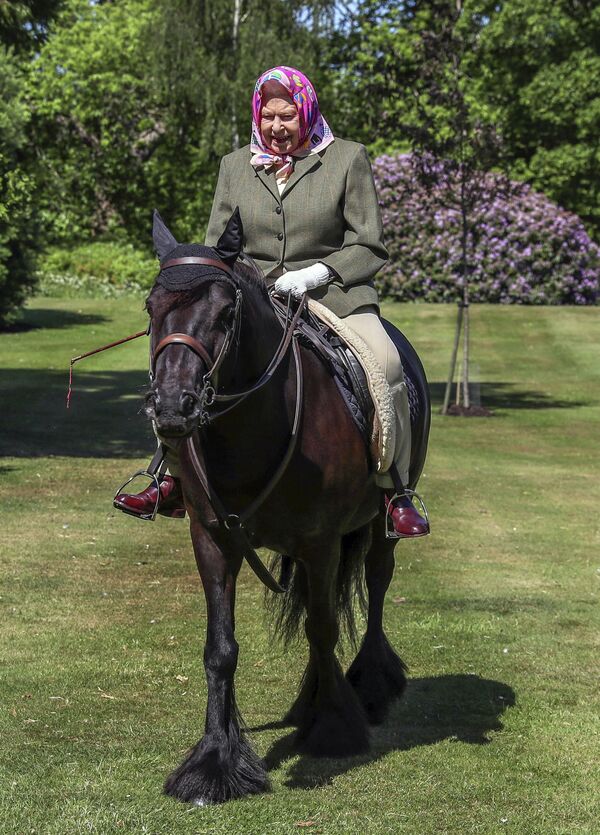 La vârsta de 94 de ani, Regina Elisabeta a II-a a Marii Britanii călărește pe Balmoral Fern, un ponei de rasa Fell în vârstă de 14 ani, Windsor Home Park, la vest de Londra, în weekendul din 30 și 31 mai 2020. - Sputnik Moldova