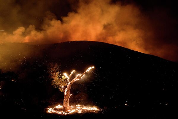 Лесной пожар недалеко от Хемета, Калифорния - Sputnik Молдова