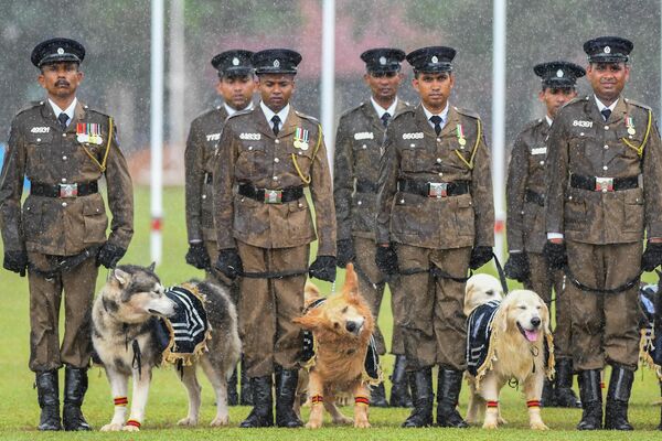 Сотрудники полиции Шри-Ланки и их собаки принимают участие в праздновании 156-го Дня полиции Шри-Ланки в Коломбо  - Sputnik Молдова