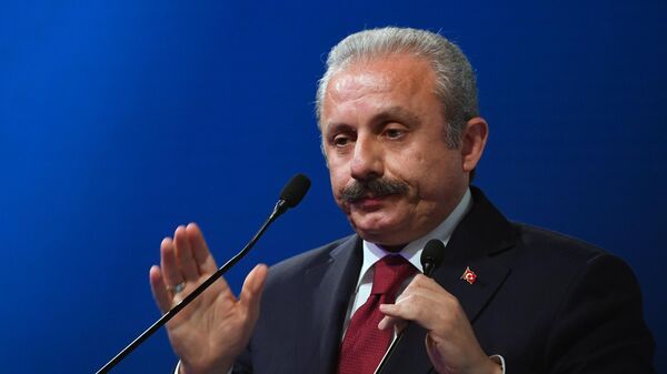 Președintele Marii Adunări Naționale a Turciei, Mustafa Șentop,  - Sputnik Moldova
