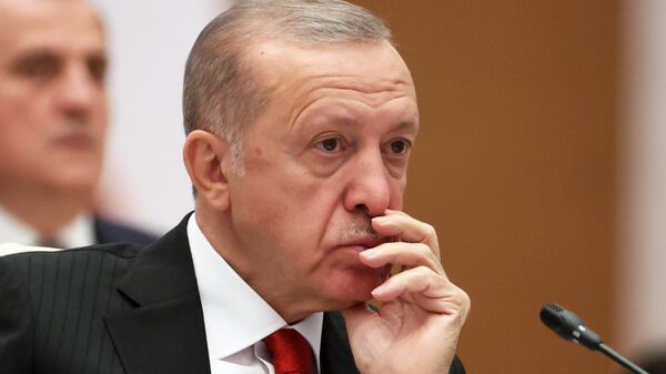 Președintele Turciei, Tayyip Erdogan, - Sputnik Moldova
