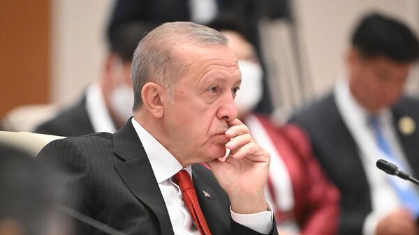 Эрдоган достал наган. Турция приготовилась к последней схватке - Sputnik Молдова