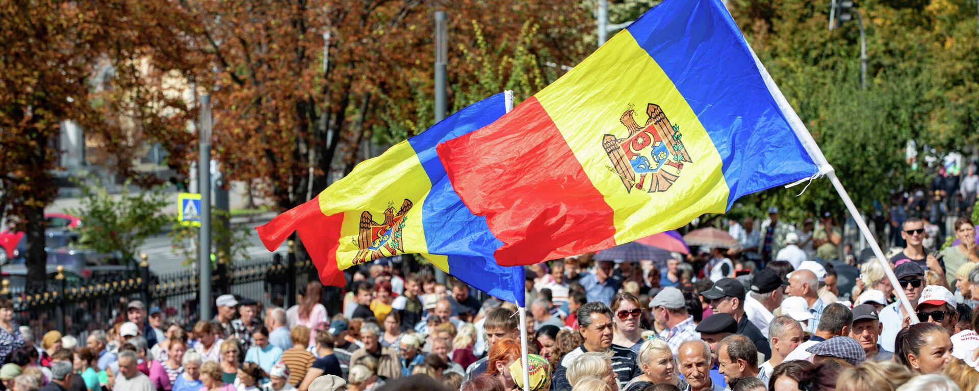 Знак протеста: удастся ли в Молдове добиться досрочных выборов - Sputnik Молдова, 1920, 23.09.2022