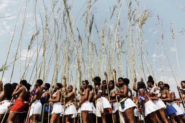 Зулусские девушки собираются во время ежегодного Умкхоси Вомхланга (танца тростника) в Королевском дворце Энйокени в Нонгоме 17 сентября 2022 года.  - Sputnik Молдова