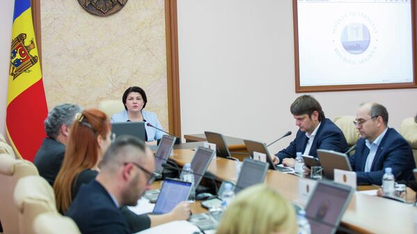 Guvernul Gavrilița în ședință - Sputnik Moldova