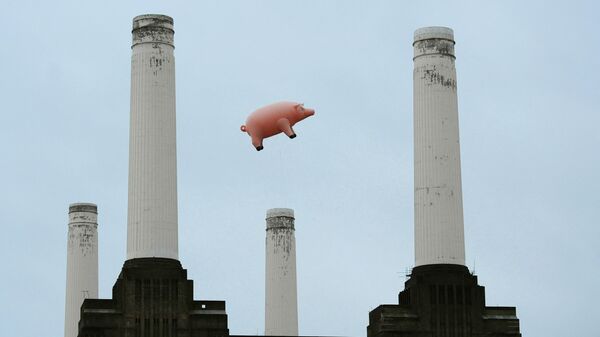 Надувная свинья над электростанцией Battersea в Лондоне во время фотосессии для продвижения выпуска ремастерированных альбомов и ранее не изданной музыки британской рок-группы Pink Floyd  - Sputnik Молдова