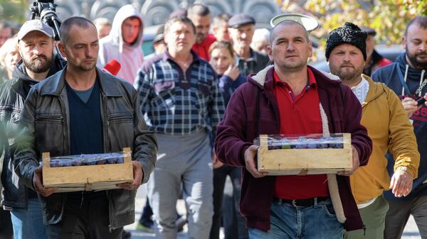 На протест у Минсельхоза вышли фермеры из числа тех, кто участвует в бессрочной акции в палаточном городке - Sputnik Moldova